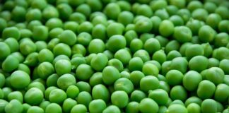 Czy groszki pogrubiają?