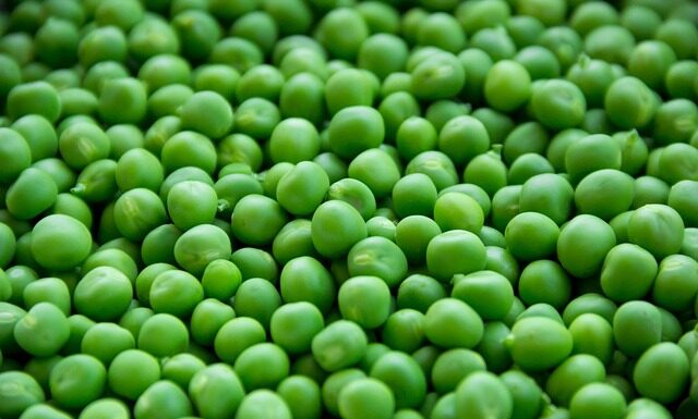Czy groszki pogrubiają? Czy groszki pogrubiają?