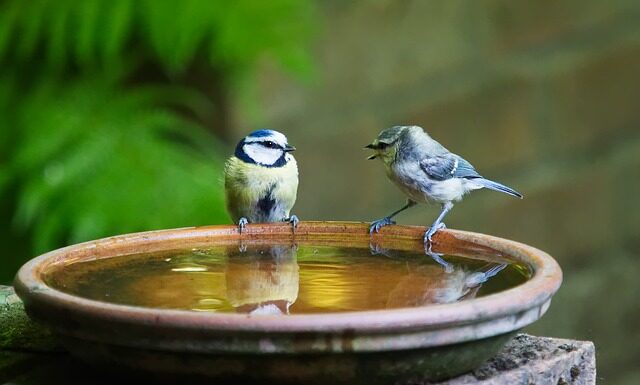 Jak się mówi po angielsku dziękuję?